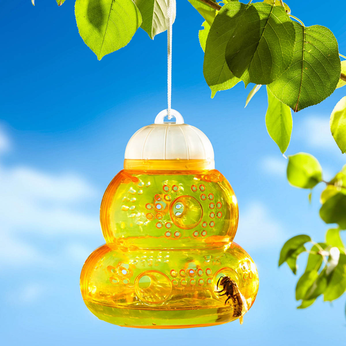 Pasca na osy, žltá