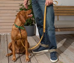 Vôdzka pre psy s nastaviteľnou dĺžkou