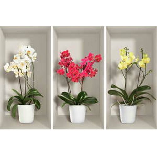 Sada 3 3D samolepiek na stenu Ambiance Orchids
