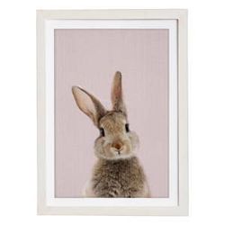 Nástenný obraz v ráme Querido Bestiario Baby Rabbit, 30 x 40 cm