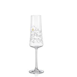 Crystalex GARDEN poháre na sekt 210 ml, 2 ks