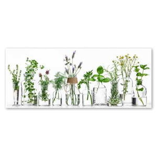 Obraz Styler Glasspik Herbs, 30 × 80 cm