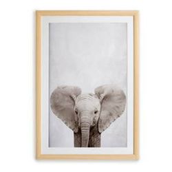 Nástenný obraz v ráme Surdic Elephant, 30 x 40 cm
