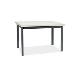 Jedálenský stôl ADAM | 120 x 68 cm Farba: biely mat / čierna