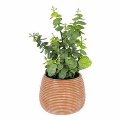 Umelý eukalyptus v keramickom kvetináči Kave Home