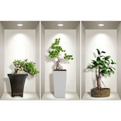 Sada 3 3D samolepiek na stenu Ambiance Bonsai Plants