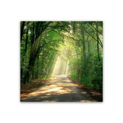 Obraz Styler Glas Nature Road, 30 × 30 cm
