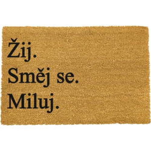 Rohožka z prírodného kokosového vlákna Artsy Doormats Žij a miluj, 40 x 60 cm