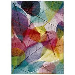 Koberec Universal Colors Multi, 160 × 230 cm
