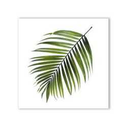Obraz Styler Canvas Greenery Black Palm, 32 x 32 cm