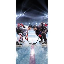Jerry Fabrics Osuška Ľadový hokej, 70 x 140 cm