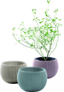 Sada troch designových plastových kvetináčov COZIES TRIO