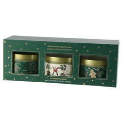 Sada vianočných sviečok Merry Christmas Mistletoe and fir/Velvet vanilla
