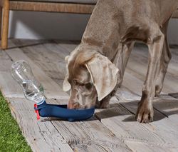 Fľaša na pitie pre psy so zabudovanou miskou