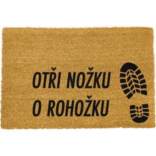 Rohožka z prírodného kokosového vlákna Artsy Doormats Otři Nožku, 40 x 60 cm