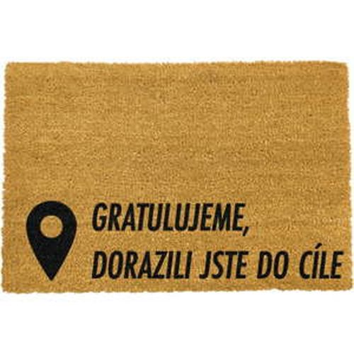 Rohožka z prírodného kokosového vlákna Artsy Doormats Cíl, 40 x 60 cm
